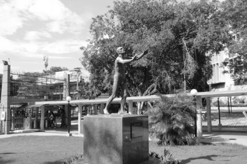 Humanidades y Universidad
