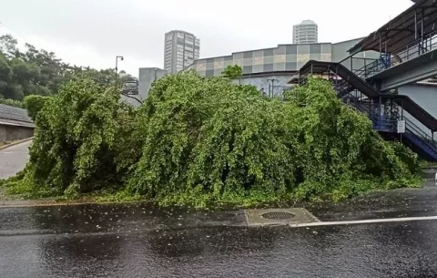 Lluvia y fuertes vientos azotan la ciudad de Panamá