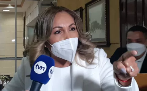 Yanibel Ábrego: Rómulo Roux está perdiendo liderazgo ante su equipo y convencionales