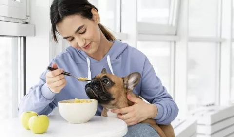 Alimentos prohibidos para los perros