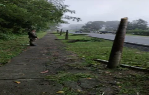 Investigan acto de vandalismo en el área de los jardines de Puerto Armuelles
