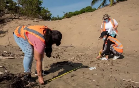 Actividades de ciencia ciudadana evalúan la basura marina en Azuero