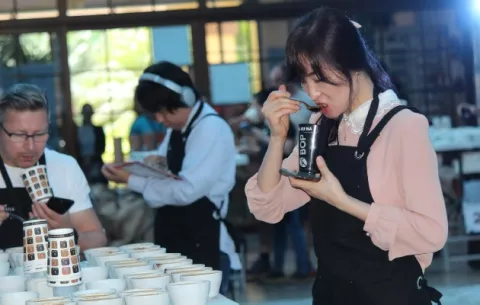 Comienza la cata virtual internacional del Best Of Panamá
