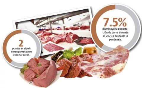 Exportaciones de carne bovina disminuyen 25%