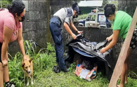 Policía Nacional rescata a un perro que fue atropellado en Las Lomas de Chiriquí