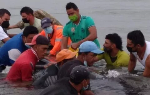 Rescatan cría de ballena jorobada varada en la playa El Retén en Chitré
