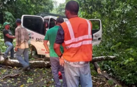 Conductor muere aplastado por un árbol que cayó en la cabina de su camión en un tramo de la carretera colonense