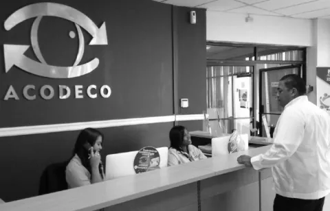 La decisión de los consumidores