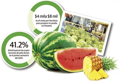 Exportaciones de melón y piña caen, mientras la sandía sube un 20%