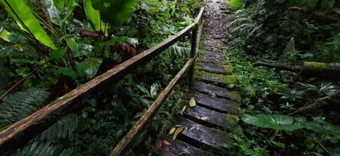 Suspenden acceso al Parque Internacional La Amistad por rehabilitación