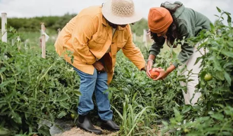 Jóvenes, los protagonistas  de la solución a los desafíos
