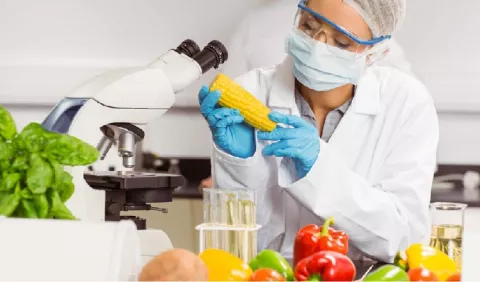 Abren convocatoria del Premio Latinoamericano de Investigación en Alimentación y Nutrición