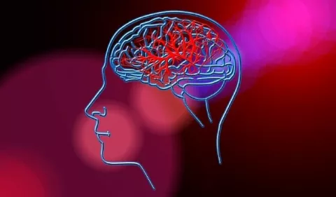 Terapia de lenguaje tras un accidente cerebrovascular