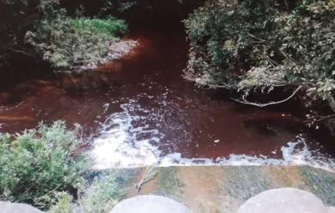 Investigan derrame de vinaza en la quebrada Cabuya de Pesé 
