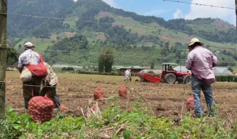El 1 de octubre la Agencia Panameña de Alimentos  inicia operaciones 