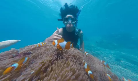 'Tips' para practicar de manera segura el buceo