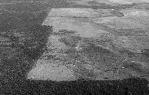 La toma de consciencia sobre el cambio climático