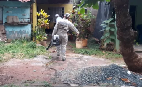 Detectan un caso de chikungunya en Los Santos