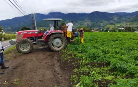 Productores de Tierras Altas solicitan al gobierno intervenir ante altos costos de insumos agropecuarios