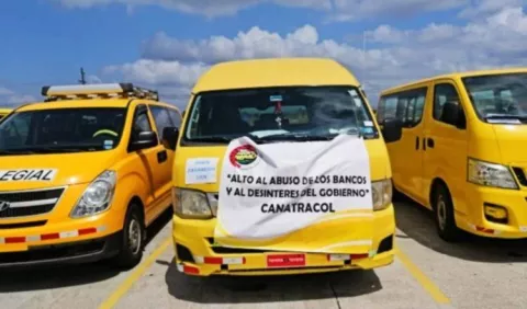 Busitos colegiales podrán usar el 80% de su capacidad 