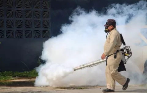 Casos confirmados de dengue suman a 923 en todo el país