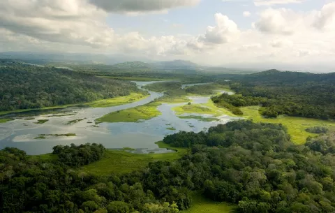 Instituto Smithsonian inaugura desde este viernes exposición sobre el agua en el Museo del Canal