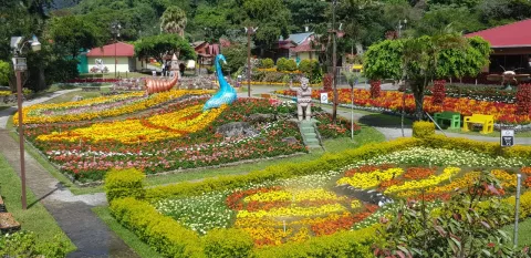 Boquete tendrá desfile de Navidad y Feria de las Flores y del Café
