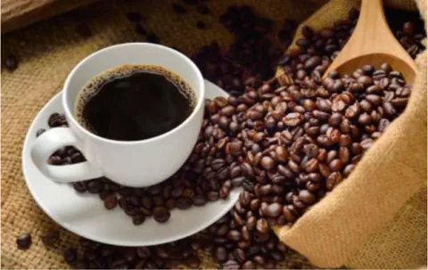 Café Geisha de Panamá impone un nuevo récord mundial en la subasta electrónica del Best of Panama