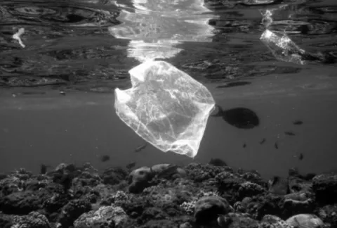Panamá lucha contra el plástico, un gran enemigo para la sostenibilidad del planeta