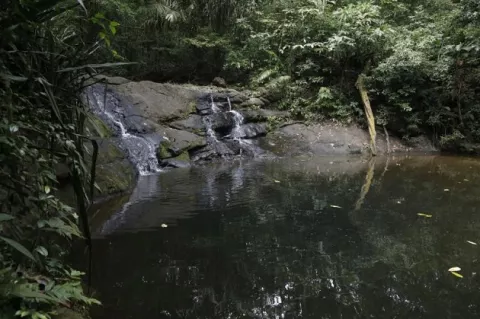Fundación Natura: Las áreas protegidas de Panamá son como laboratorios vivos