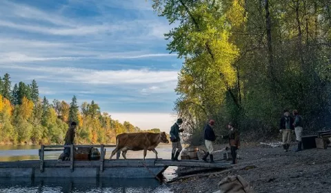 Proyección gratuita de la cinta 'First Cow'