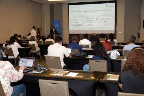 Panamá lanza APP para monitorear  actividades de reforestación