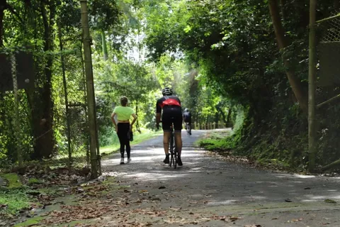 Se suspende ingreso de turistas al Cerro Ancón el 14 y 15 de octubre para rehabilitación del área protegida