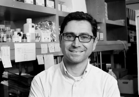 Ciencia caliente, investigación bajo presión