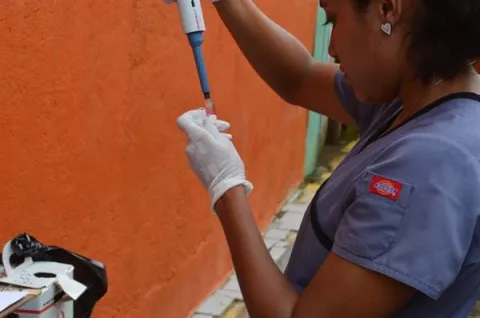 Los anticuerpos de protección cruzada para dengue y zika son muy duraderos 