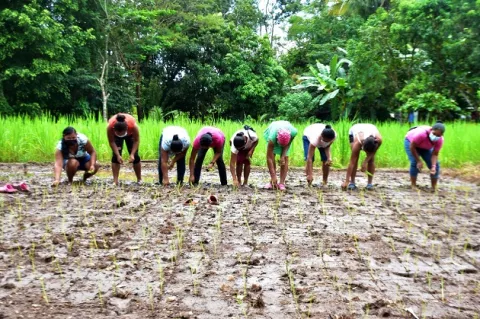 'Una Luz en el Camino' y el deseo de mujeres rurales por aprender a sembrar y cosechar la tierra