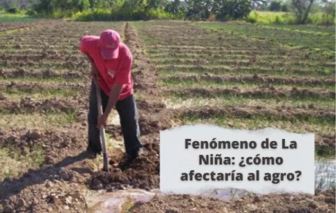 Fenómeno de La Niña: ¿Qué se espera en Panamá y cómo afectaría al agro?