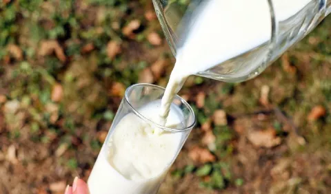 Alimentos fuente de calcio: ¿Qué debe saber? 