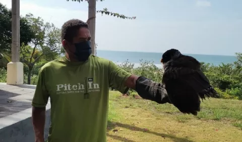 ¿Qué hay detrás del maltrato animal?