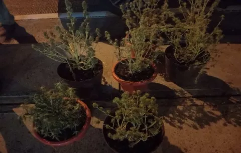 Cuatro detenidos en Arraiján con armas de fuego en la operación ‘Transportador 2’