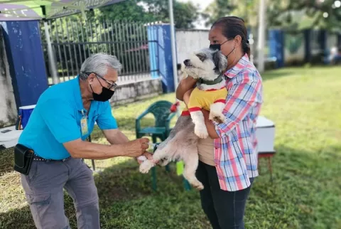 Minsa proporciona líneas telefónicas para denunciar el maltrato animal