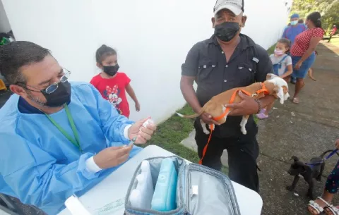 Panamá lanza campaña para concienciar sobre la tenencia responsable de animales