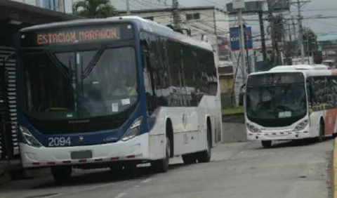 Evalúan qué modelo de bus es más conveniente para transitar en la ciudad