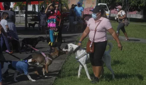Responsabilidades que se adquieren con las mascotas
