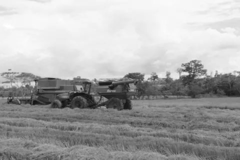 El sector agropecuario, el eslabón perdido del desarrollo nacional