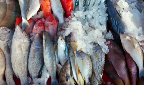 El 2022 será el Año Internacional de la Pesca y la Acuicultura Artesanales
