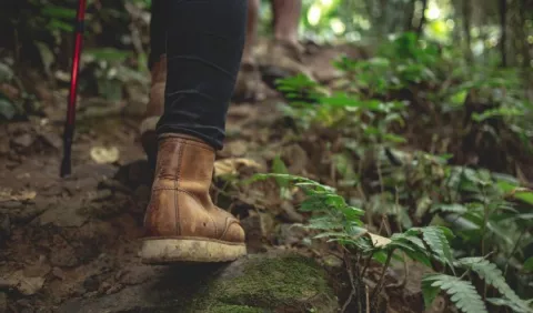 Actividades que pueden realizar al aire libre