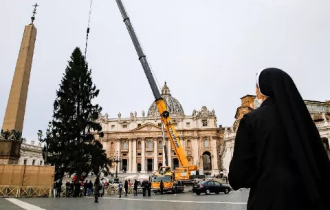 ¿Cómo es el árbol de Navidad que decorará la plaza de San Pedro en el Vaticano?