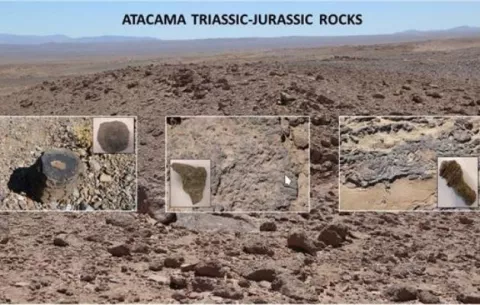 Tecnología para detectar vida en rocas de Atacama se podría replicar en Marte