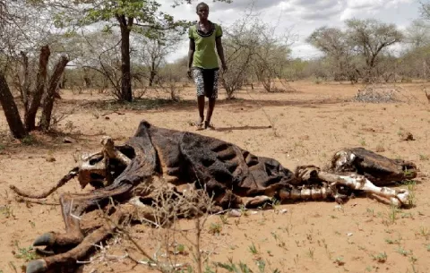 Cambio climático puede afectar a 1,200 millones de personas en 2070